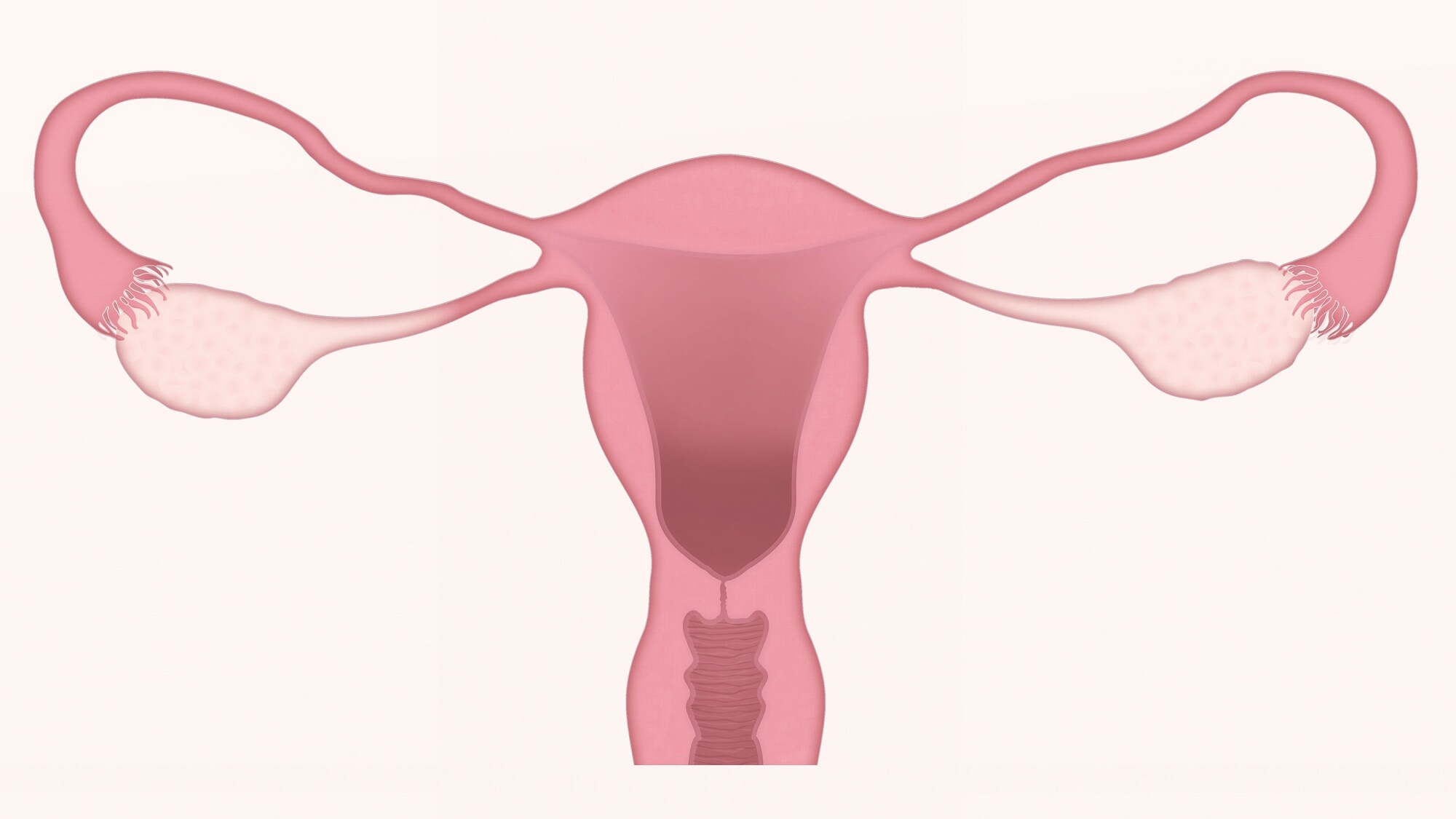 Well Woman: The Importance of An Annual Gynecologist Exam